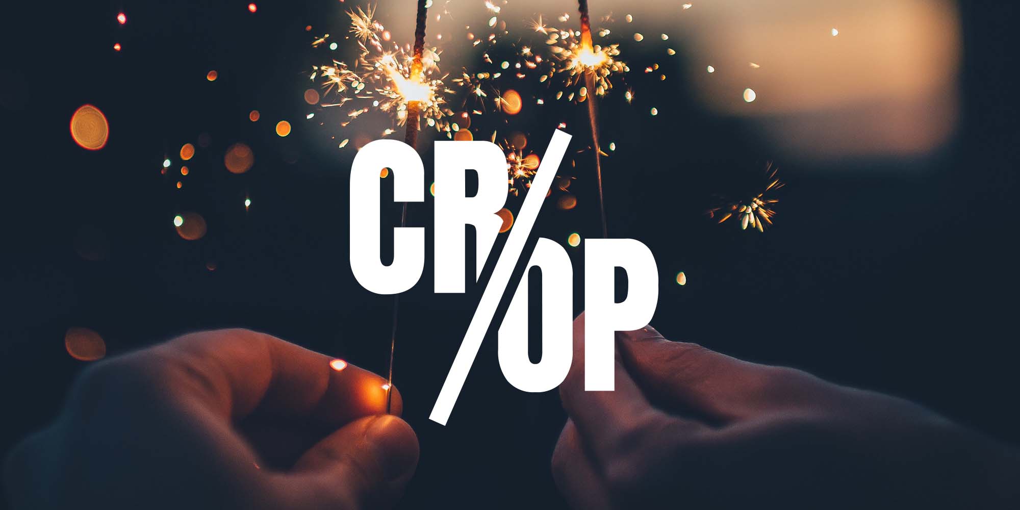 Recap 2021: Another Successful Year for the Circle Team